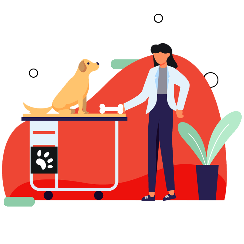 Veterinarian_modified square