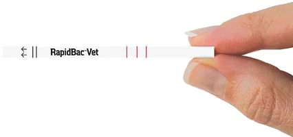 rpv_strip