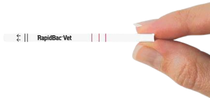 RBV Test Strip Transparent Image